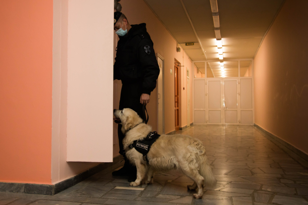 � ������������ ������� ���������� ���������� ��������� ������������� ������� �������� �������