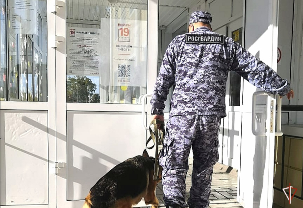 � �������� ���������� ���������� ��������� ������������� ������� �������� �������