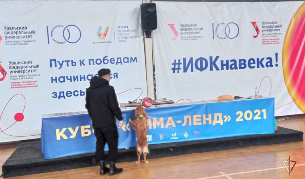 ���������� ���������� ������������ �������������� ������������� ��������� � �������������