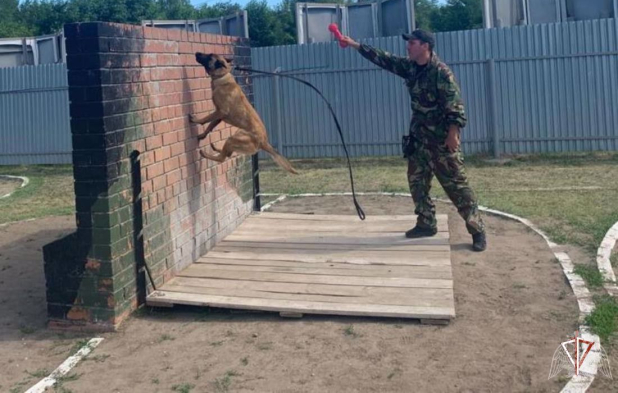 ����� 50 ��������� ���������� ������ ���� ��������� ������������ � ������