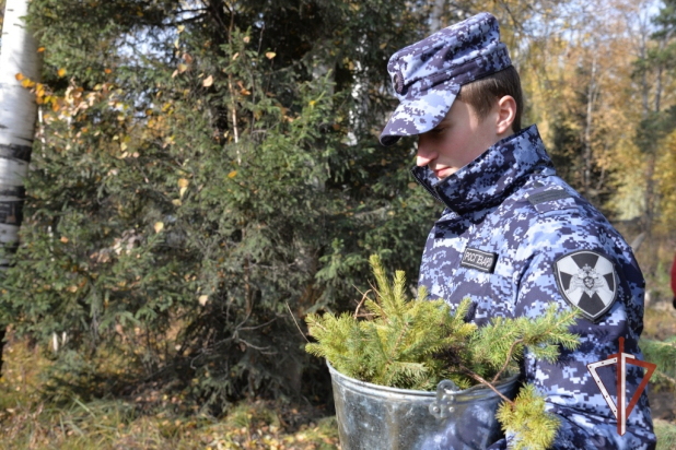 ���������� ���������� ������������� ������������� ����� �� ������� �����