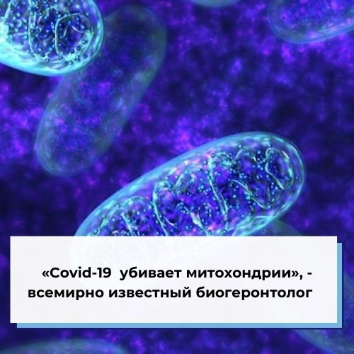 Covid-19   , -    
