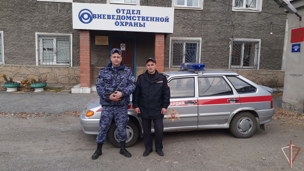 ������������ ������ �� ���� ���������� ������������ �������