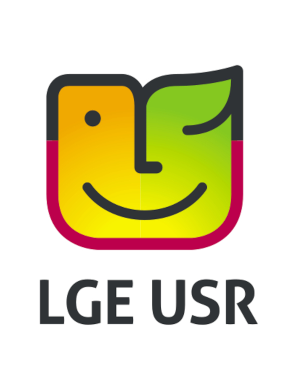    LG Electronics     