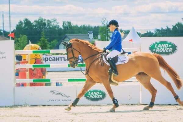 Компания АРТЕКС приняла участие в проведении Этапа Кубка Мира и Чемпионата России по конкуру Компания АРТЕКС приняла участие в проведении Этапа Кубка Мира и Чемпионата России по конкуру