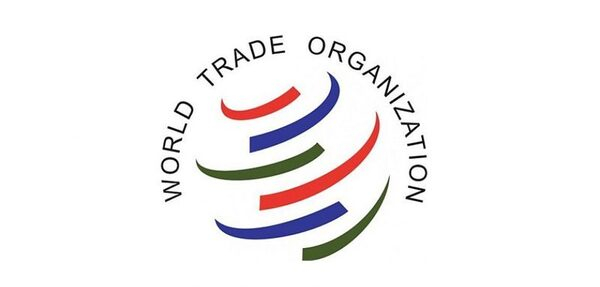 ВТО: итоги двух лет членства России ВТО: итоги двух лет членства России