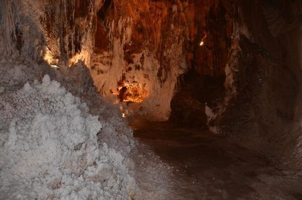 Изучая соль земли Изучая соль земли