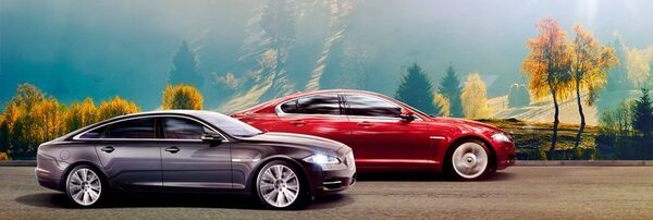 30 Jaguar на уникальных условиях в АРТЕКС 30 Jaguar на уникальных условиях в АРТЕКС