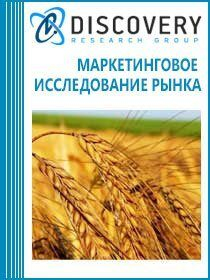 Анализ рынка зерновых культур в России Анализ рынка зерновых культур в России
