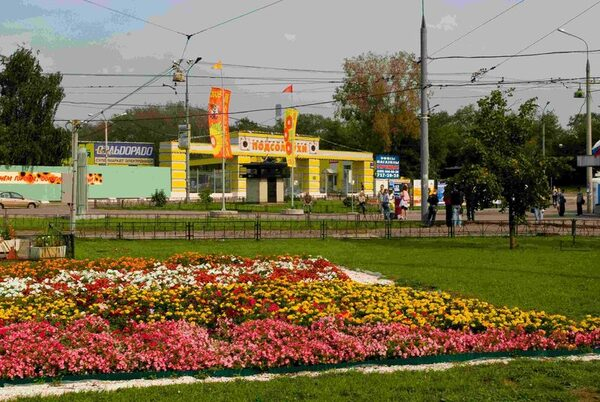 В ТЦ «Подсолнухи» выросла доля мебельных магазинов В ТЦ «Подсолнухи» выросла доля мебельных магазинов