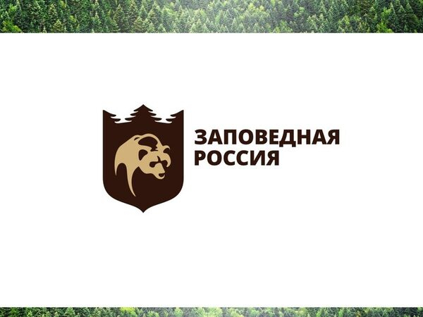 Брендинговое агентство представило «Заповедную Россию» миру Брендинговое агентство представило «Заповедную Россию» миру