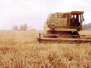 Губернатор Орловской области принял участие в заседании Совета ЦФО по вопросам инвестирования в сельское хозяйство Губернатор Орловской области принял участие в заседании Совета ЦФО по вопросам инвестирования в сельское хозяйство