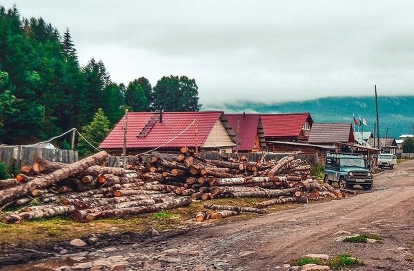 ОНФ в Челябинской области будет контролировать вопросы экологии и защиты леса ОНФ в Челябинской области будет контролировать вопросы экологии и защиты леса