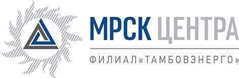 Специалисты Тамбовэнерго проводят подготовку к пожароопасному периоду Специалисты Тамбовэнерго проводят подготовку к пожароопасному периоду
