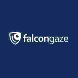 Falcongaze будет сотрудничать с поставщиком ИТ-решений в ЮАР Falcongaze будет сотрудничать с поставщиком ИТ-решений в ЮАР