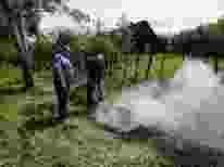 Госадмтехнадзор предупреждает: сжигание мусора запрещено Госадмтехнадзор предупреждает: сжигание мусора запрещено