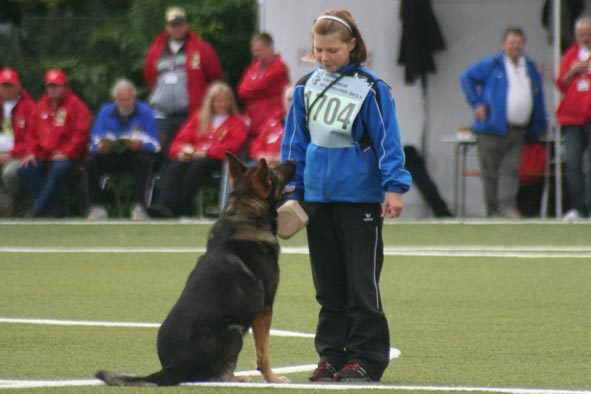 Одобрены основные принципы формирования национальной системы кинологической деятельности и собаководства в РФ Одобрены основные принципы формирования национальной системы кинологической деятельности и собаководства в РФ
