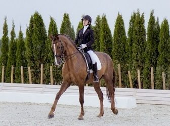 R.O.C.S. оценит элегантность лошадей на Финале Кубка Maxima Stables по выездке R.O.C.S. оценит элегантность лошадей на Финале Кубка Maxima Stables по выездке