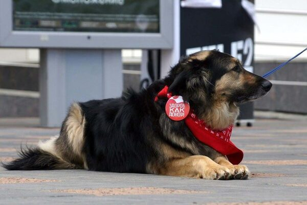 Центр крови ФМБА России определил победителей фото-проекта «Группа крови - лето» Центр крови ФМБА России определил победителей фото-проекта «Группа крови - лето»