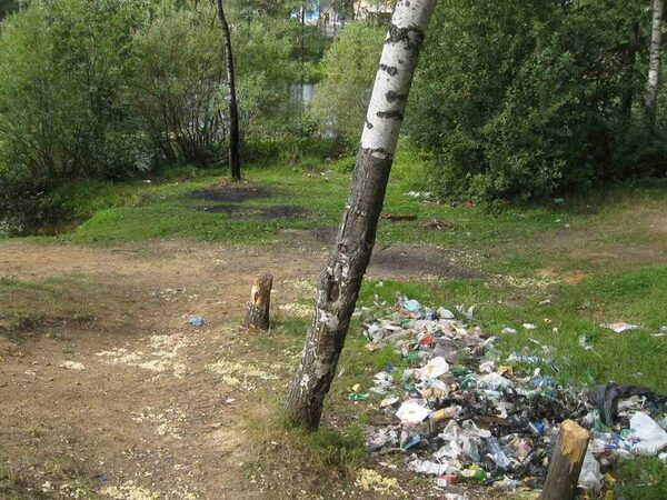Госадмтехнадзор заставил власти Нахабино навести порядок в парке Госадмтехнадзор заставил власти Нахабино навести порядок в парке