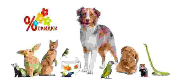 Внимание, Акция! Внимание, Акция!