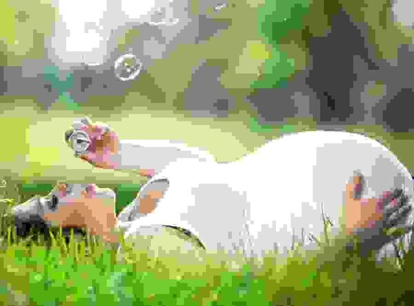 Гемобин: здоровая и лёгкая беременность без железодефицита Гемобин: здоровая и лёгкая беременность без железодефицита