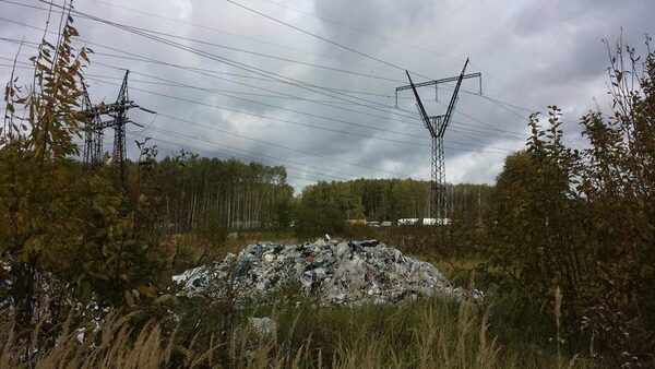 Чистый лес - наше богатство Чистый лес - наше богатство