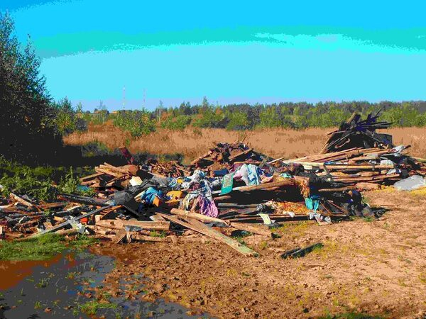 Госадмтехнадзор избавляет Подмосковье от мусора Госадмтехнадзор избавляет Подмосковье от мусора