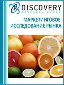 Анализ рынка цитрусовых в России Анализ рынка цитрусовых в России