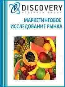Анализ рынка экзотических фруктов в России Анализ рынка экзотических фруктов в России