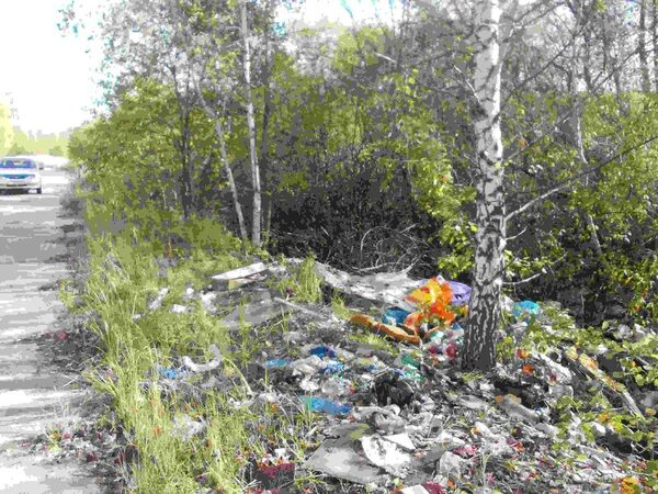 В Серпуховском районе ликвидирована крупная свалка В Серпуховском районе ликвидирована крупная свалка