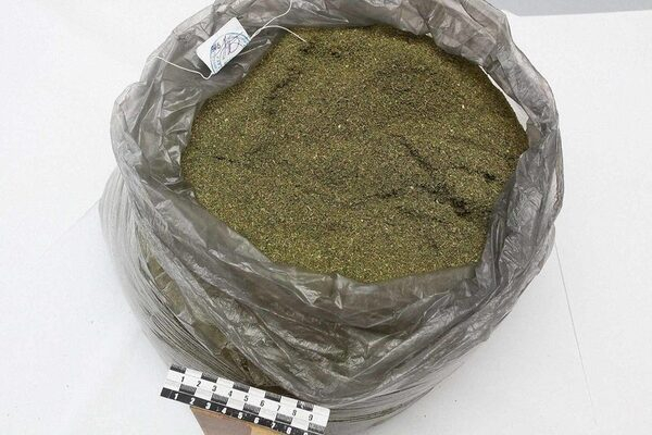 Возбуждено уголовное дело по факту контрабанды марихуаны Возбуждено уголовное дело по факту контрабанды марихуаны