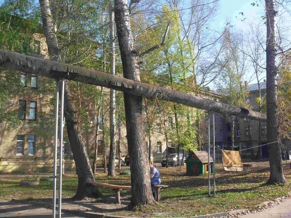 Опасные деревья Опасные деревья