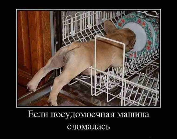 Основные проблемы стиральных машин Основные проблемы стиральных машин
