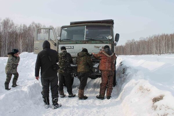 Кемеровские активисты ОНФ обнаружили незаконную вырубку древесины в Гурьевском районе Кемеровские активисты ОНФ обнаружили незаконную вырубку древесины в Гурьевском районе