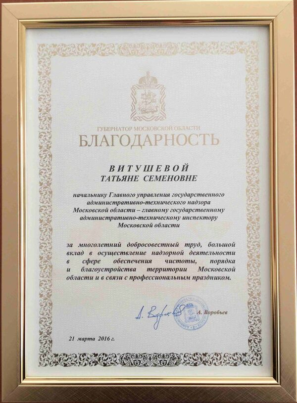 Татьяна Витушева: награда Губернатора – не только большая честь, но и большая ответственность Татьяна Витушева: награда Губернатора – не только большая честь, но и большая ответственность