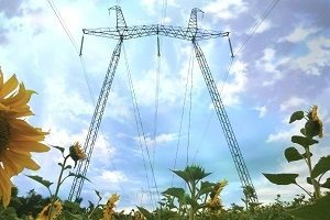 ФСК ЕЭС выполнит техприсоединение круглогодичных агрокомплексов более чем на 200 МВт ФСК ЕЭС выполнит техприсоединение круглогодичных агрокомплексов более чем на 200 МВт