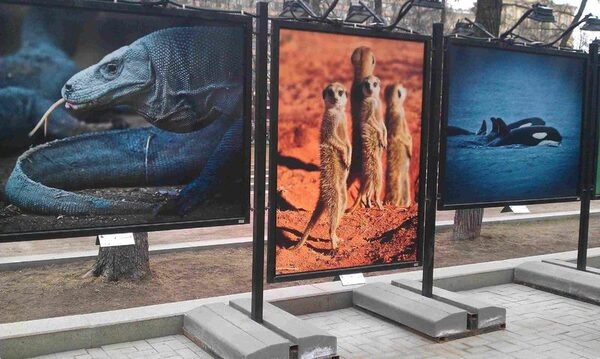 «Мир глазами женщин»: в Москве открылась уникальная фотовыставка в преддверии Недели женского здоровья «Мир глазами женщин»: в Москве открылась уникальная фотовыставка в преддверии Недели женского здоровья