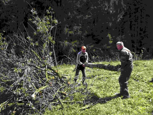 В рамках субботника сотрудники Госадмтехнадзора собрали более 30 кубометров мусора на землях лесного фонда В рамках субботника сотрудники Госадмтехнадзора собрали более 30 кубометров мусора на землях лесного фонда