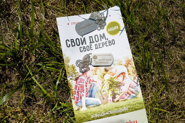 В Москве озеленили новый жилой микрорайон В Москве озеленили новый жилой микрорайон