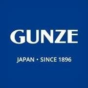 Японский бренд GUNZE презентовал новую летную коллекцию носочков и следков 2016 Японский бренд GUNZE презентовал новую летную коллекцию носочков и следков 2016