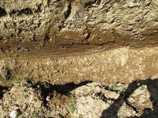 14.06.2016 г. О порче земель 14.06.2016 г. О порче земель