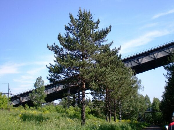 «Южный Кузбасс» реализовал экологические мероприятия «Южный Кузбасс» реализовал экологические мероприятия