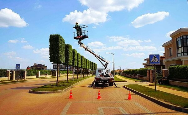 Управдом - друг человека: как выбрать управляющую компанию для загородного поселка Управдом - друг человека: как выбрать управляющую компанию для загородного поселка