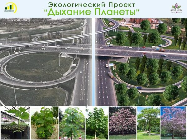 Экологический Проект 2017 «Дыхание Планеты» Экологический Проект 2017 «Дыхание Планеты»