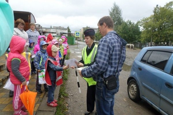 Костромские активисты ОНФ провели акцию «Дорога в школу» в Буе и Красносельском районе Костромские активисты ОНФ провели акцию «Дорога в школу» в Буе и Красносельском районе