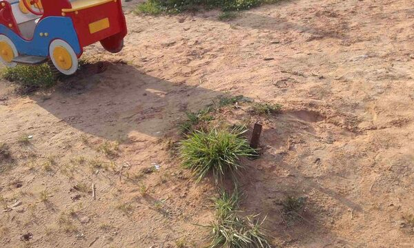 ОНФ в Ленинградской области взял на контроль устранение нарушений при возведении детской площадки в Оредеже ОНФ в Ленинградской области взял на контроль устранение нарушений при возведении детской площадки в Оредеже