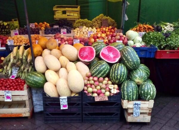 Активисты ОНФ зафиксировали различные нарушения при реализации бахчевых в Санкт-Петербурге Активисты ОНФ зафиксировали различные нарушения при реализации бахчевых в Санкт-Петербурге