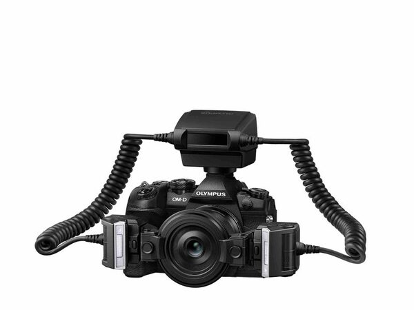 M.ZUIKO DIGITAL ED 30мм 1:3.5 – основной макрообъектив, задающий новые стандарты по таким характеристикам как приближение и фокусное расстояние M.ZUIKO DIGITAL ED 30мм 1:3.5 – основной макрообъектив, задающий новые стандарты по таким характеристикам как приближение и фокусное расстояние