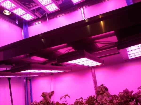 Светильники AtomSvet® BIO на выставке «Импортозамещение» Светильники AtomSvet® BIO на выставке «Импортозамещение»